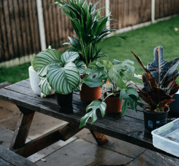 annie-spratt-yyXw1lGJypI-unsplash annie-spratt-yyXw1lGJypI-unsplash